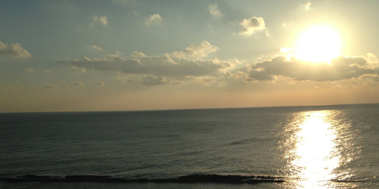 ふじわらなお banner