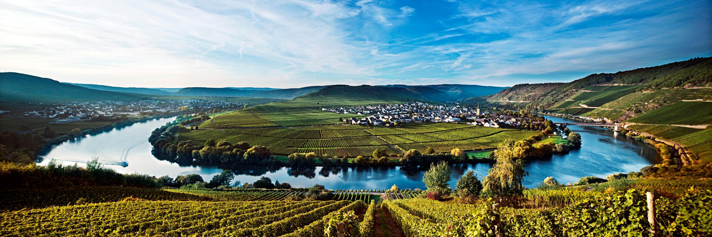 WinesofGermany's profile banner image