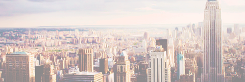 cecidrt's profile banner image
