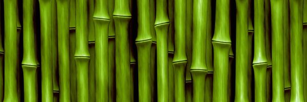 NikonPro Profile Banner