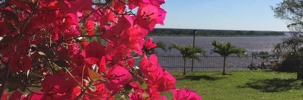 inesgfm's profile banner image