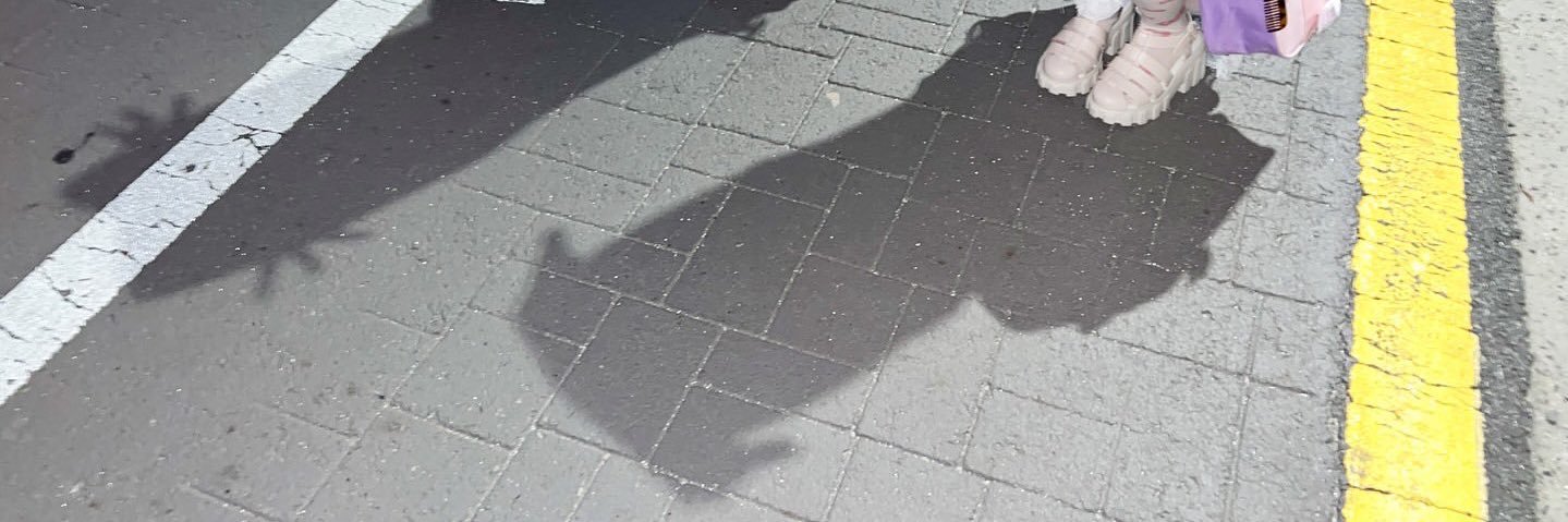 catdoii's profile banner image