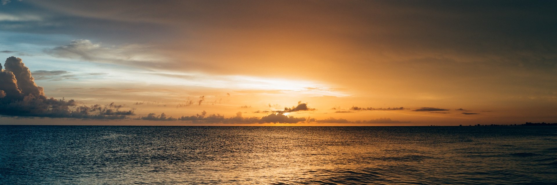 Thomas McKenna banner