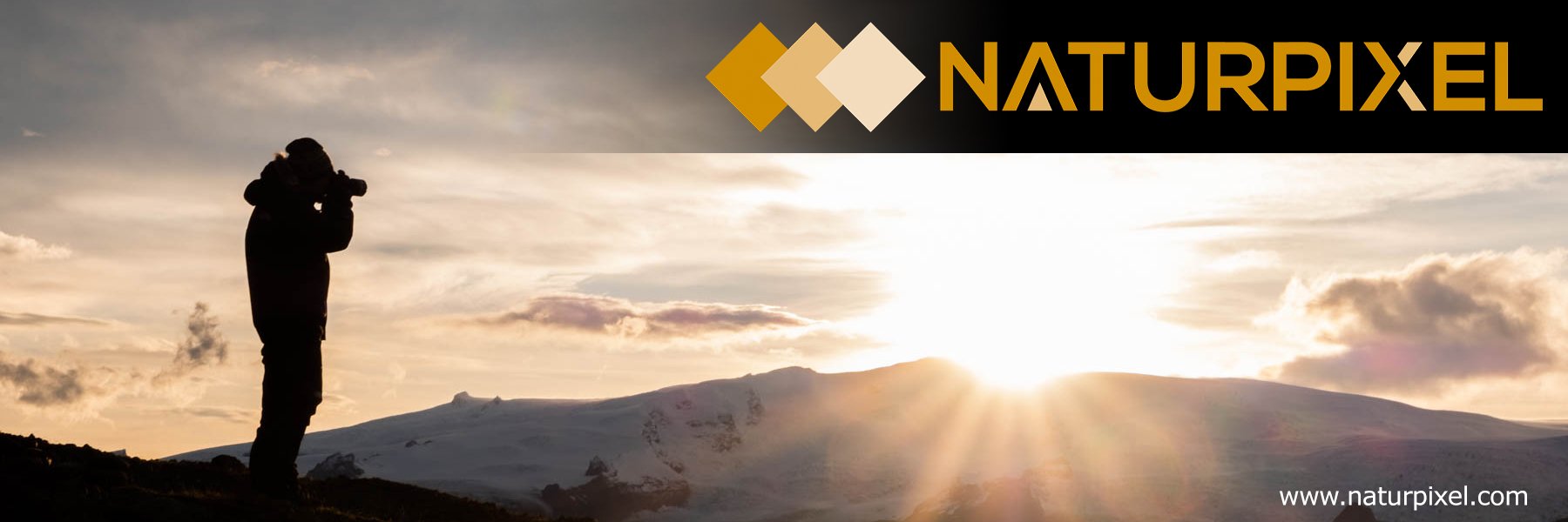Naturpixel banner