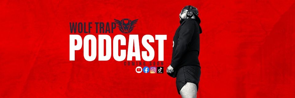 thebigbadwolfsa's profile banner image