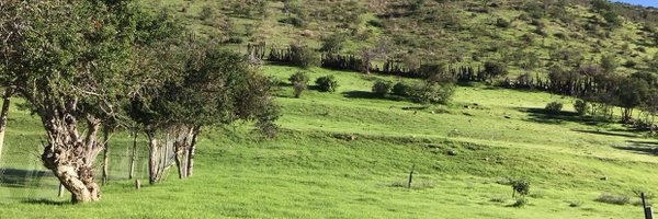 am_lr Profile Banner