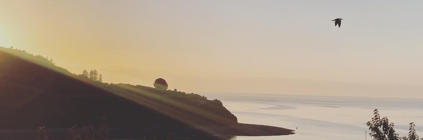 fpezzi's profile banner image