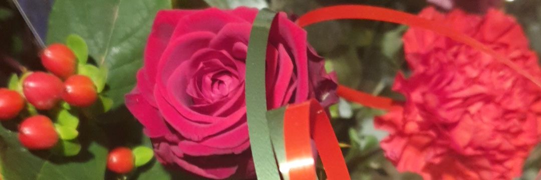 MarantRecreatie's profile banner image