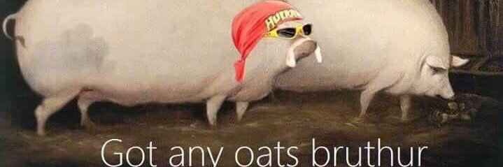 Dknighted's profile banner image