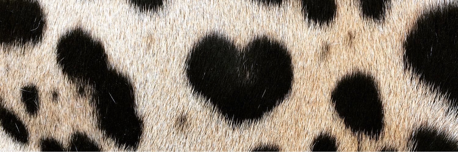 JFCO17's profile banner image