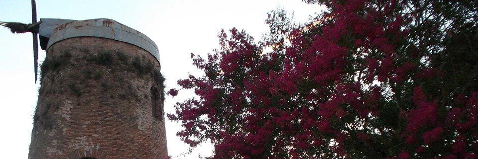 solburghi's profile banner image