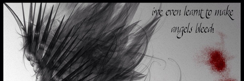 Maneden's profile banner image