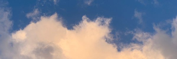 abmckay Profile Banner