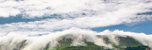 Gayelle10's profile banner image