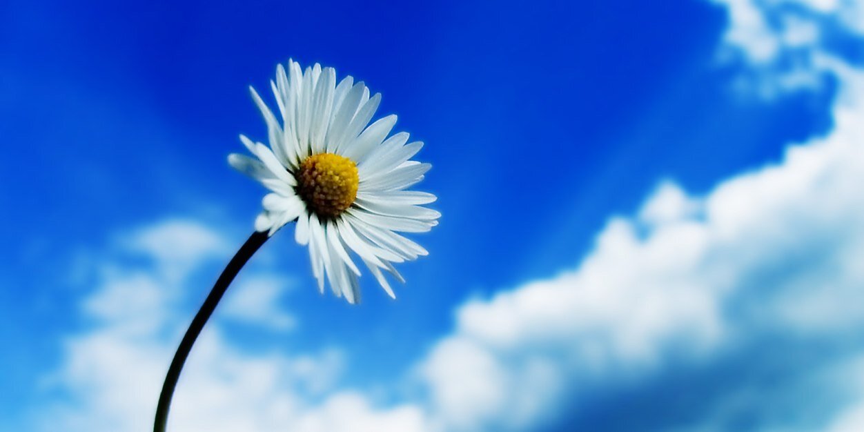 sozimek's profile banner image