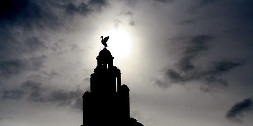 wheeler1980's profile banner image