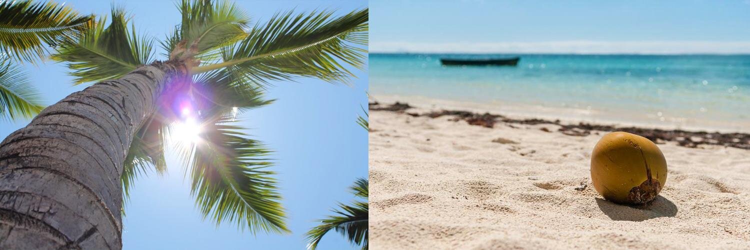 Mauritius Island banner