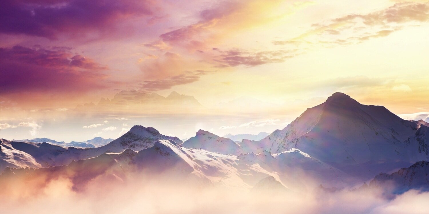 aou2010's profile banner image