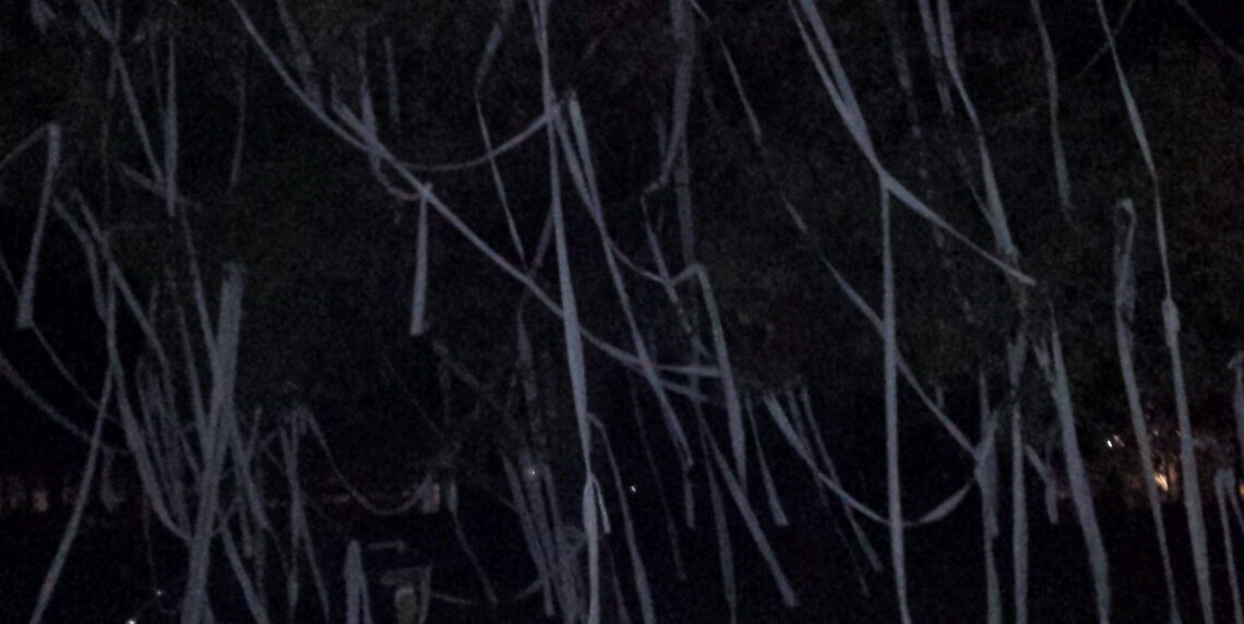themeach01's profile banner image