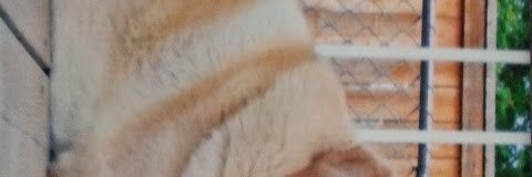 eephac's profile banner image