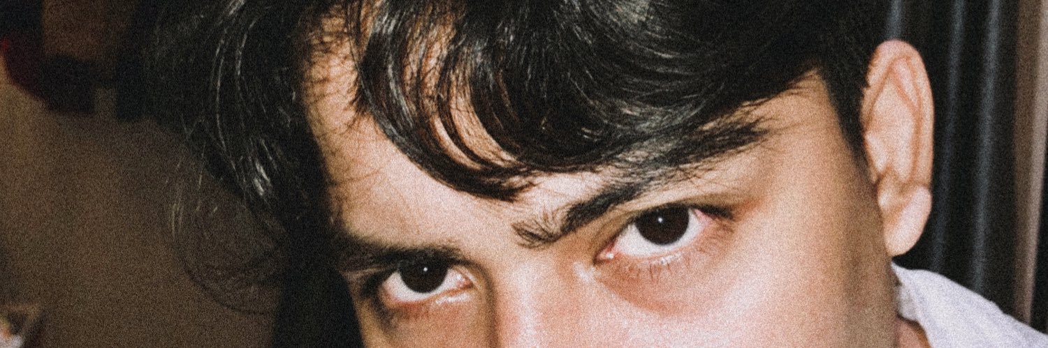 steyrilx's profile banner image