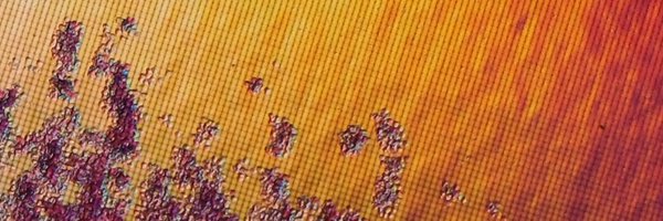 Couros Profile Banner