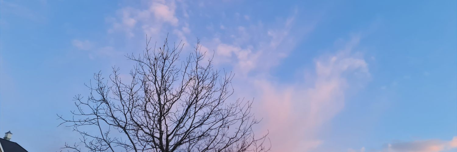 ePowelly's profile banner image