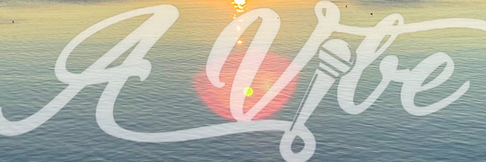 screamsstrength's profile banner image