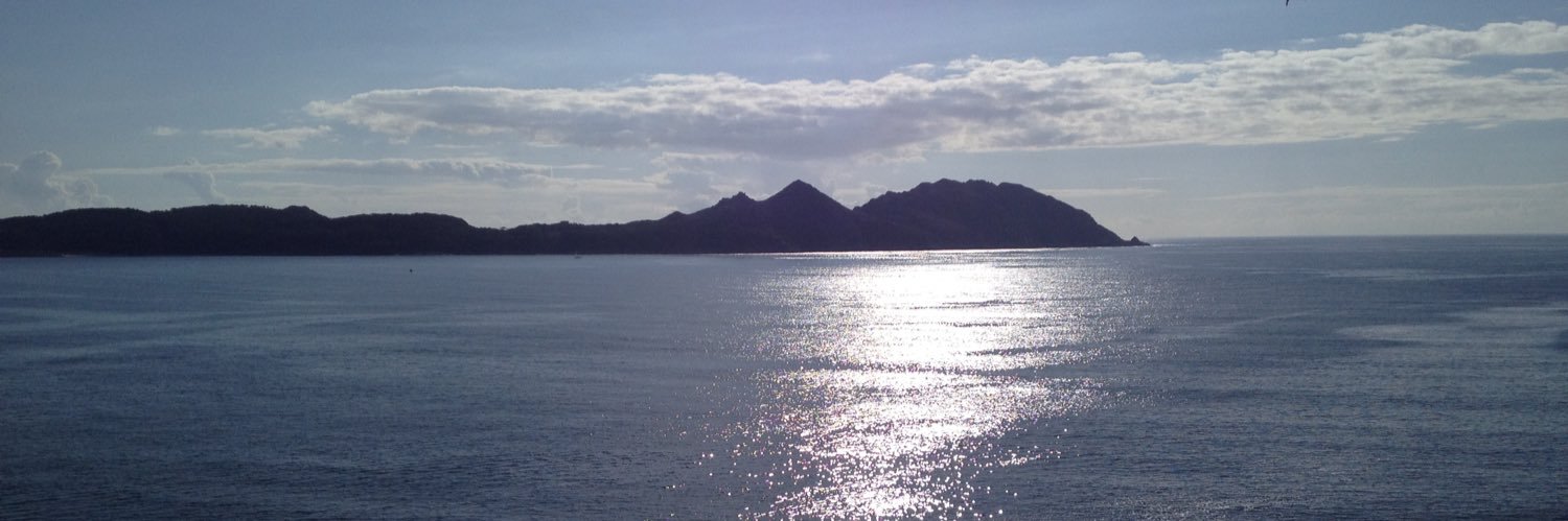 Miriam Lagoa banner