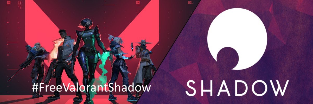 Nyxirae's profile banner image