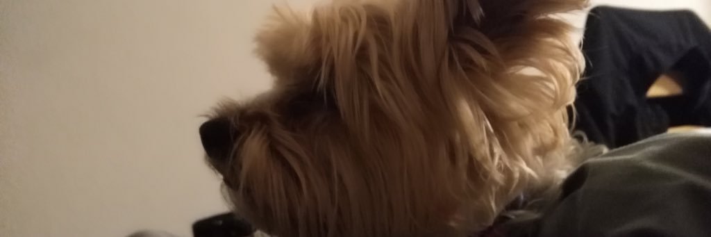 7COOF7's profile banner image