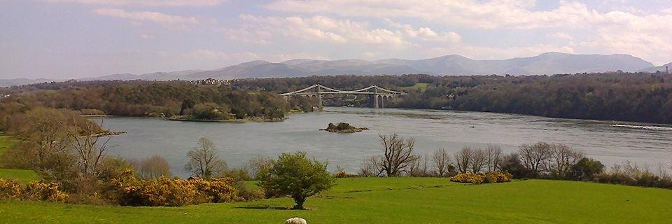 Steve Cowie 🌠 banner