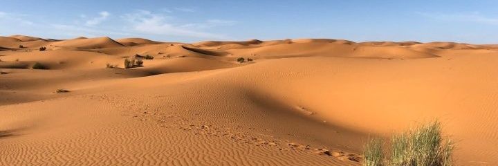 Scathach9's profile banner image