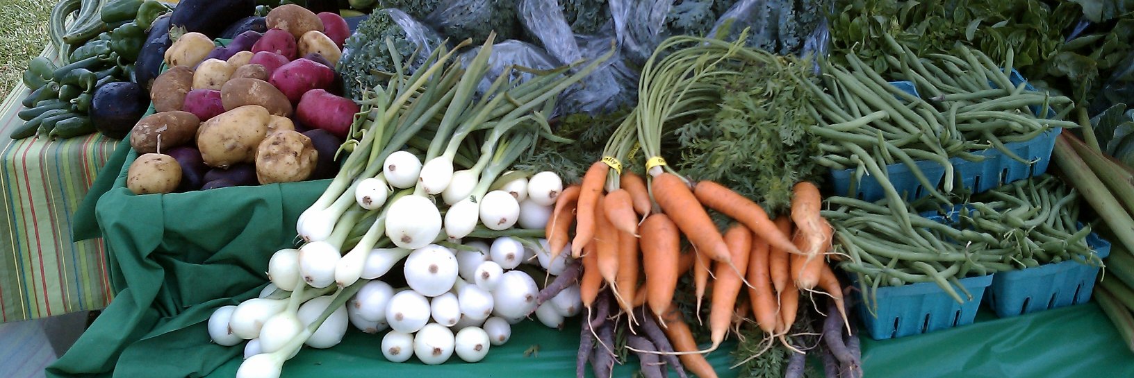 ClarRvrOrganics's profile banner image
