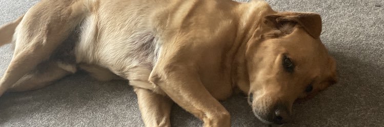 Cleggy_13's profile banner image