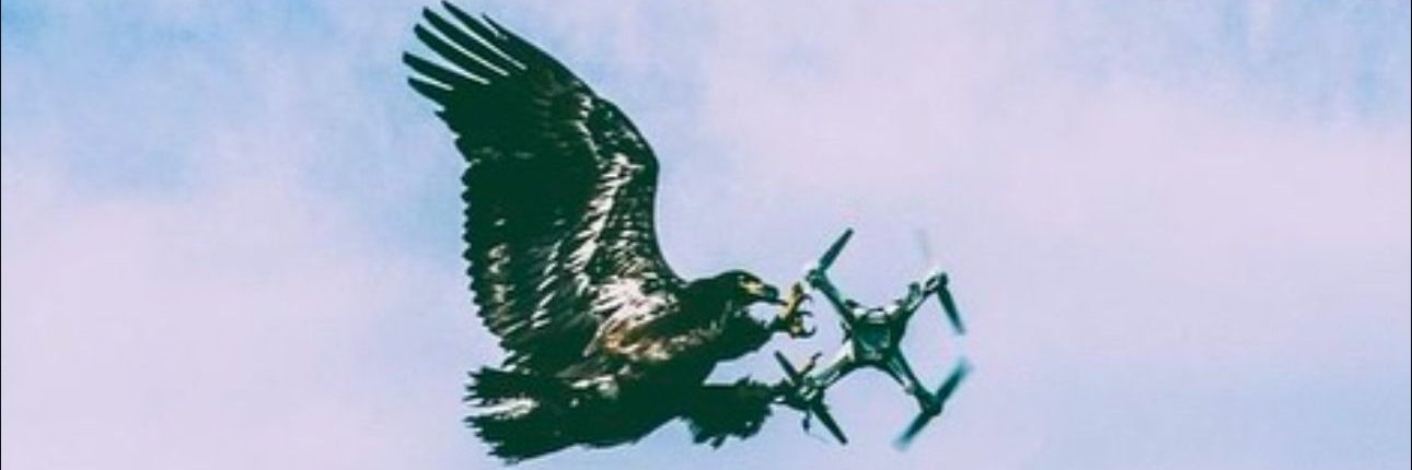 Raptor Leadership banner