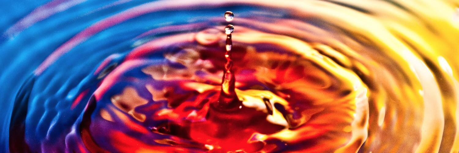 Leigh-Anne Palter banner