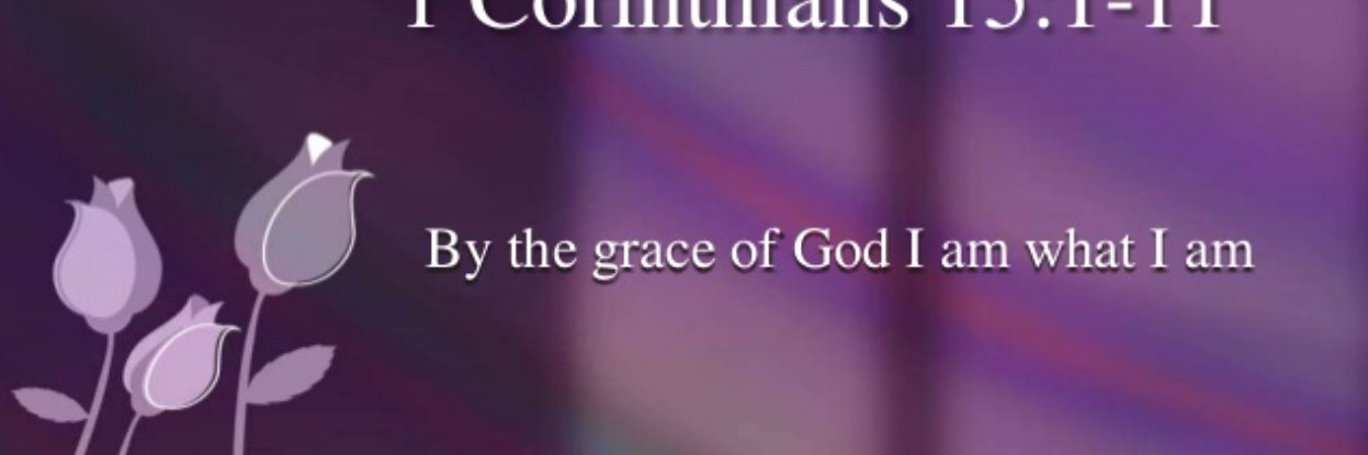 Andie Summers banner
