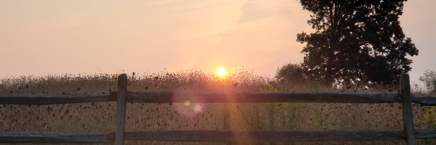 ProfessorJoolz's profile banner image