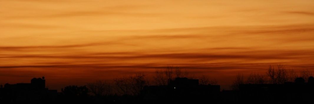 aldisilv's profile banner image