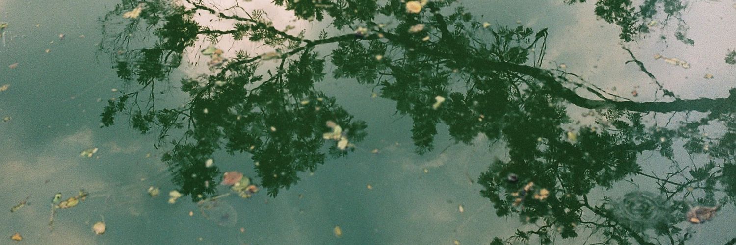 f_lavins's profile banner image