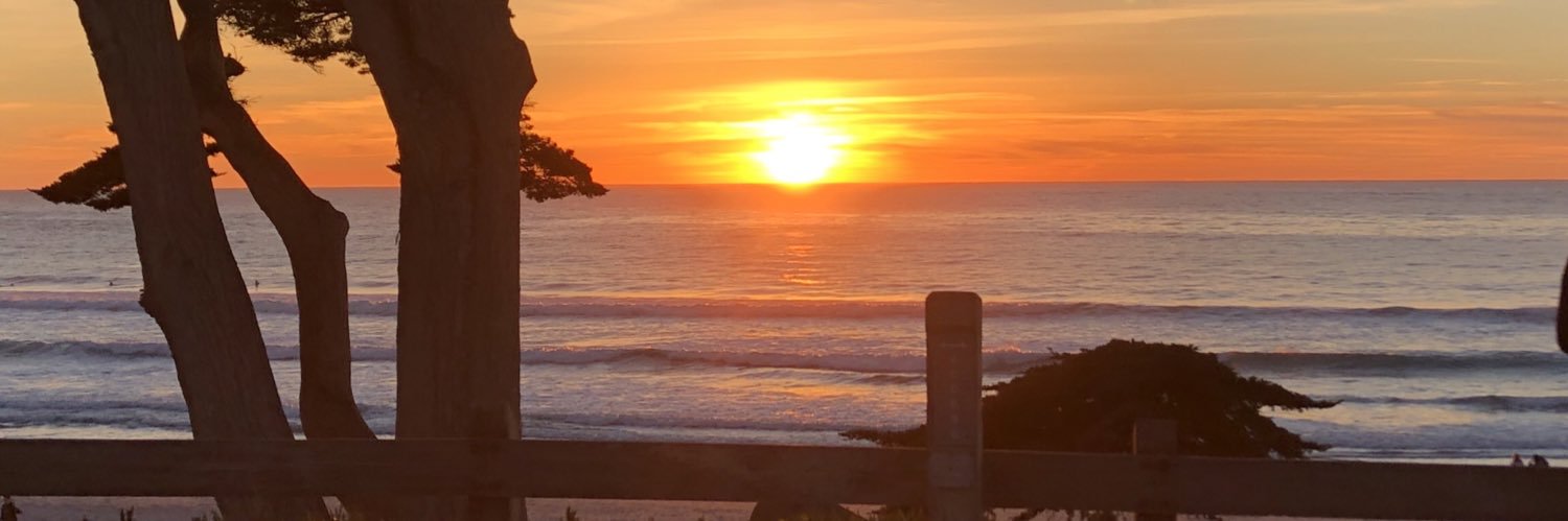 Catherine Williams banner