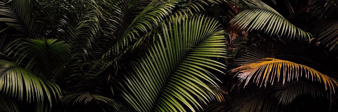 Luis_TheThird's profile banner image