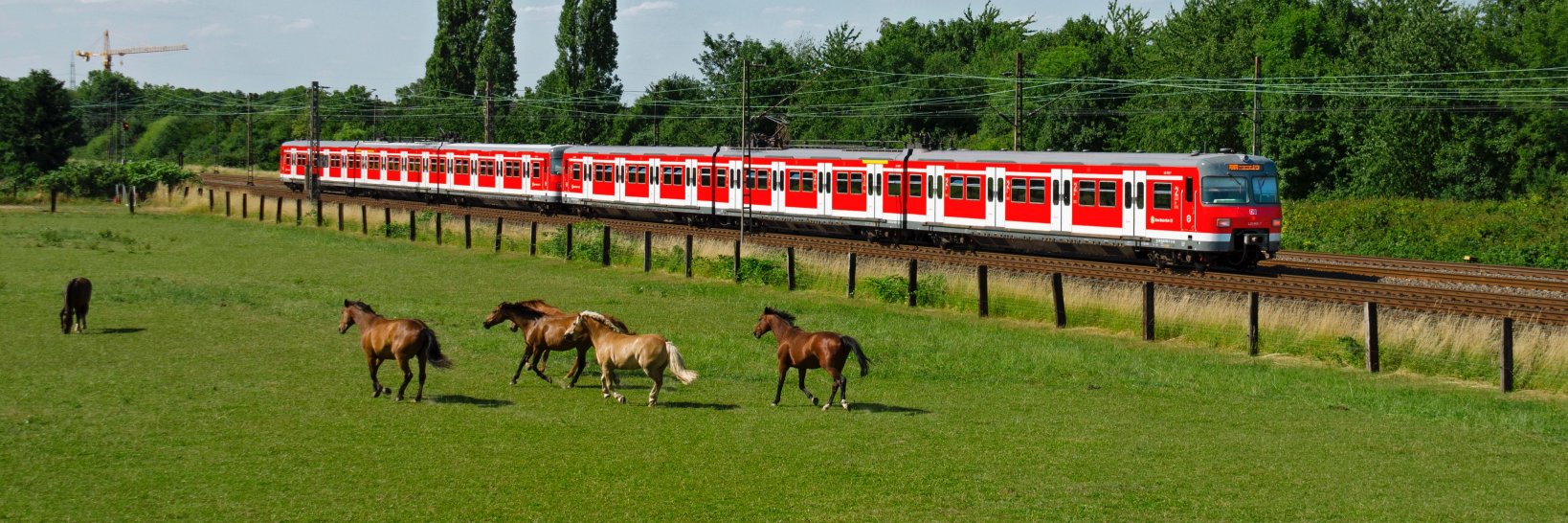 ililo_railfan's profile banner image