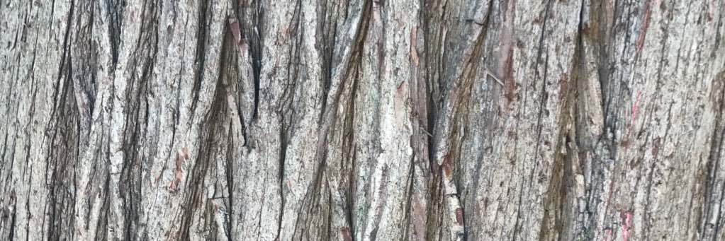 pascaljansen's profile banner image