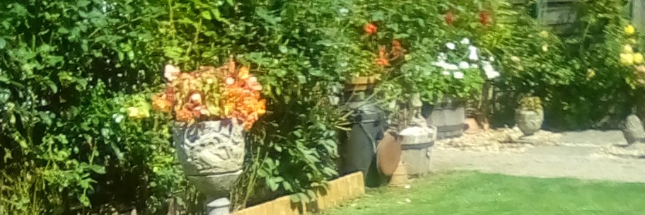 ron fen...Jeremy Corbyn Was Right. banner