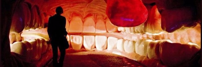 O Caseiro banner