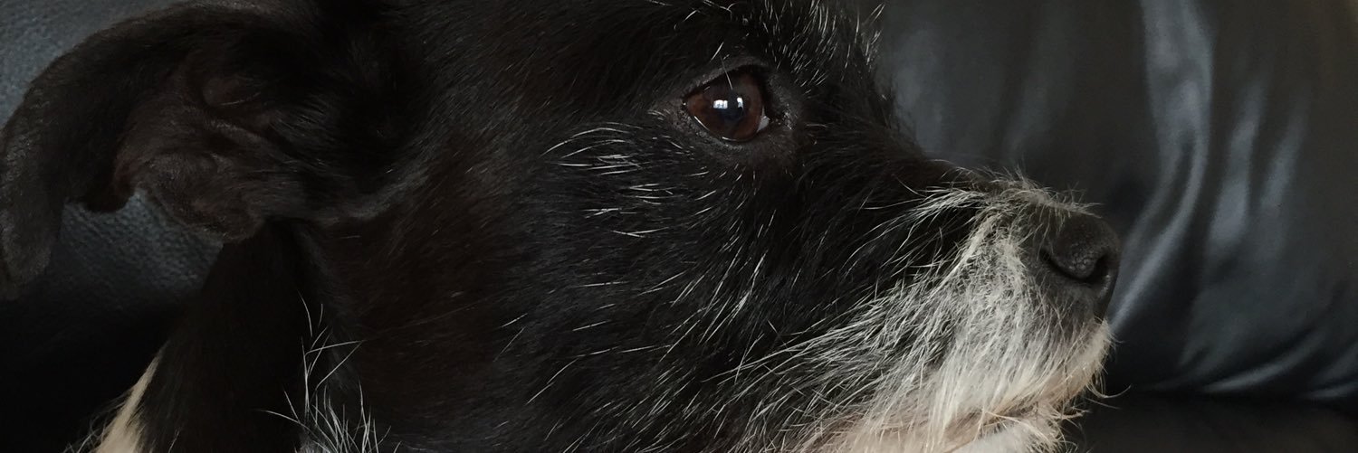 jooliepoolie's profile banner image