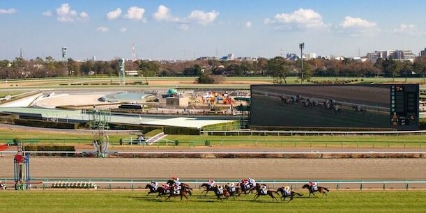 Kate Hunter • ケイト ハンター banner