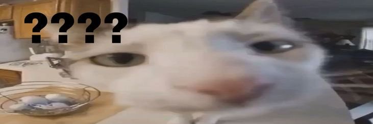 c_aaaar's profile banner image
